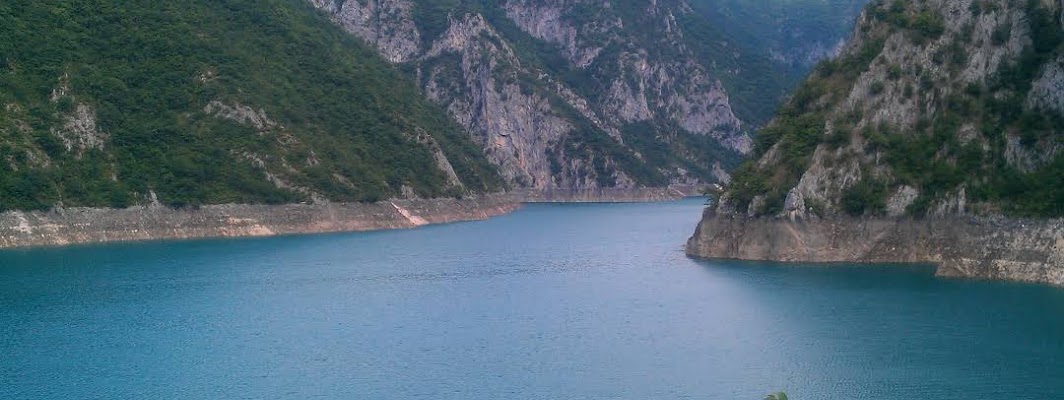 Plužine